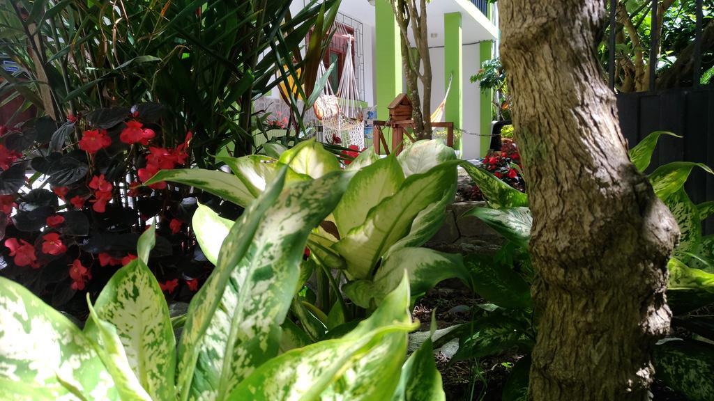 Hostal & Spa Casa Real Baños Kültér fotó